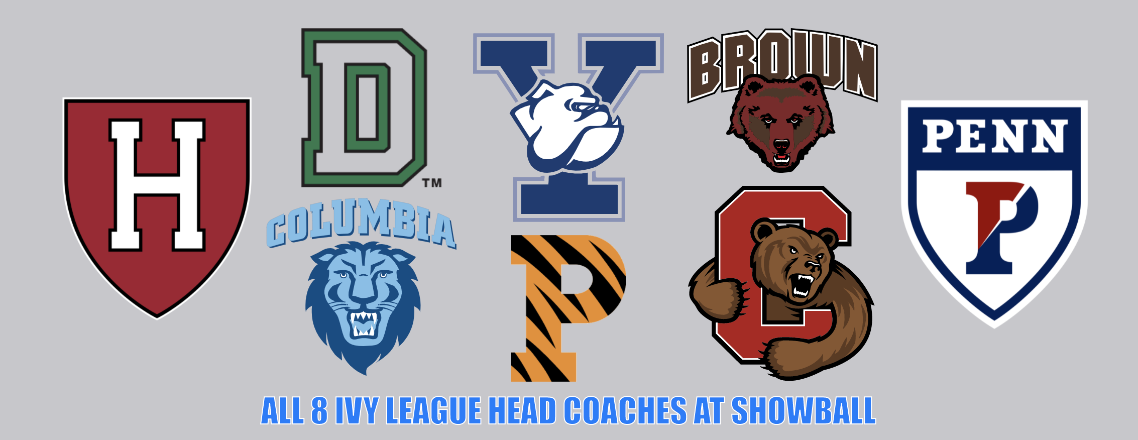showball-baseball-camps-for-college-high-school