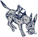 Colorado School of Mines | Head Coach